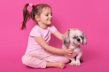 Animais para crianças: conheça os benefícios Moda Madá